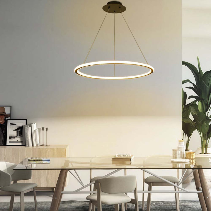 Modern LED Circle Chandelier Pendant Light 60W Dimmable